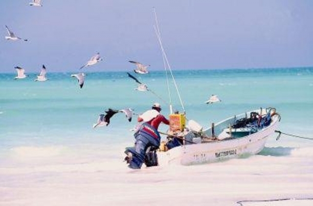 Excursiones de pesca